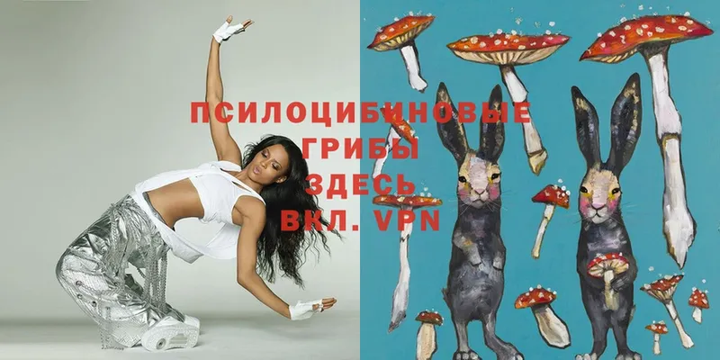 Галлюциногенные грибы Magic Shrooms  купить  сайты  Добрянка 